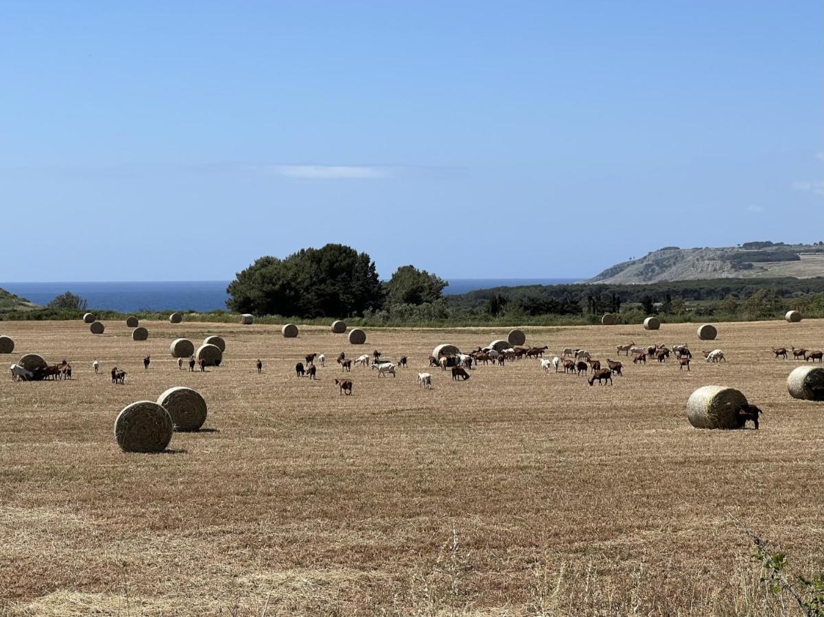 Le Capase Resort Salento Santa Cesarea Terme Dış mekan fotoğraf